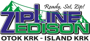 Index Logo
